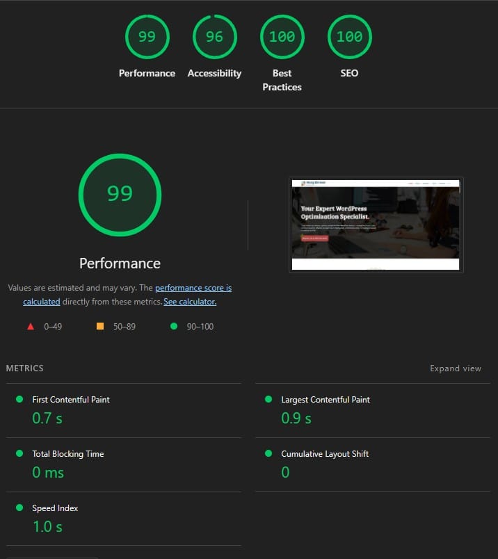 mary eltresse wordpress optimization specialist lighthouse performance score desktop after