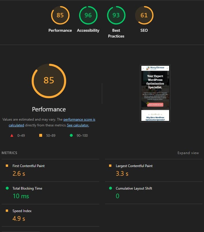 mary eltresse wordpress optimization specialist lighthouse performance score mobile before